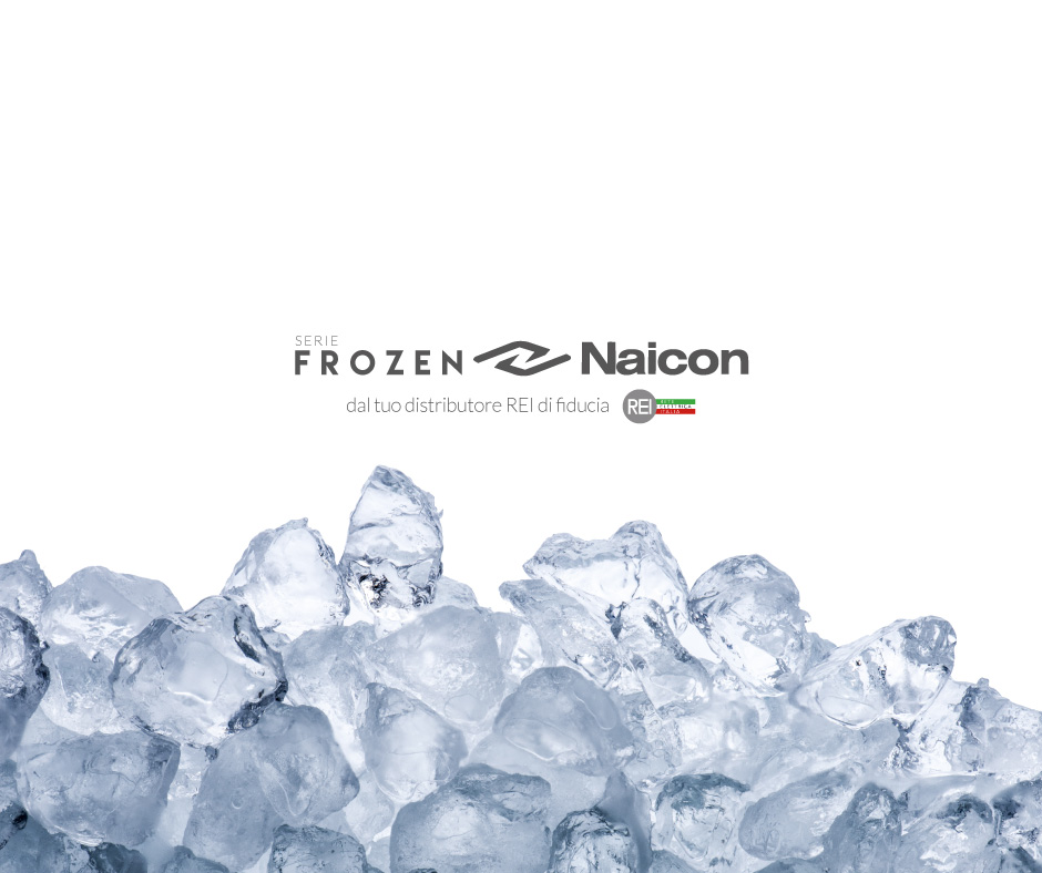 Frozen , Naicon, climatizzatori, condizionatori, gruppo REI, distributori REI, fornitori REI, partner REI, Rete Elettrica Italia