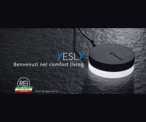 yesly, REI